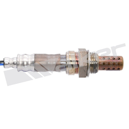 Walker Oxygen Sensor