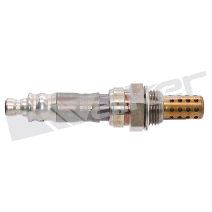 Walker Oxygen Sensor