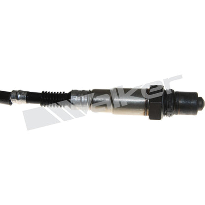 Walker Oxygen Sensor