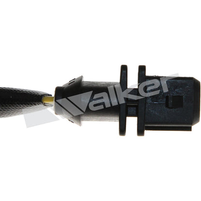Walker Oxygen Sensor