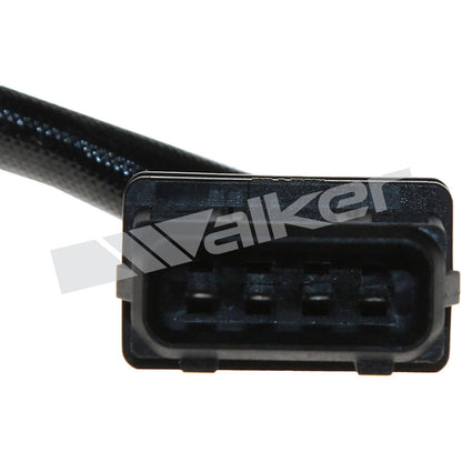 Walker Oxygen Sensor