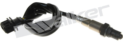 Walker Oxygen Sensor