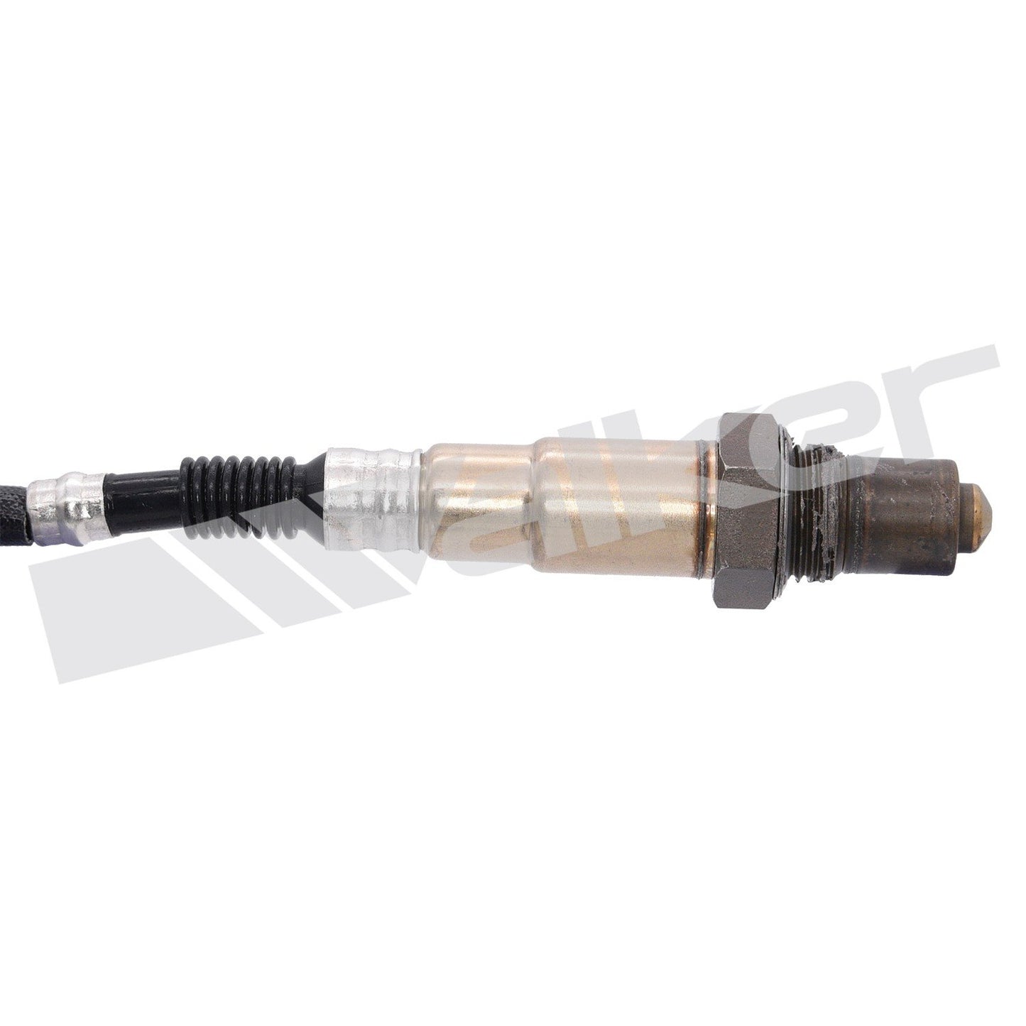 Walker Oxygen Sensor