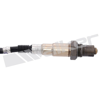 Walker Oxygen Sensor