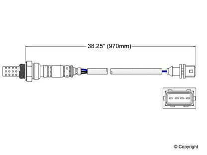 Walker Oxygen Sensor