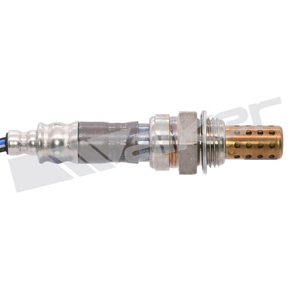 Walker Oxygen Sensor