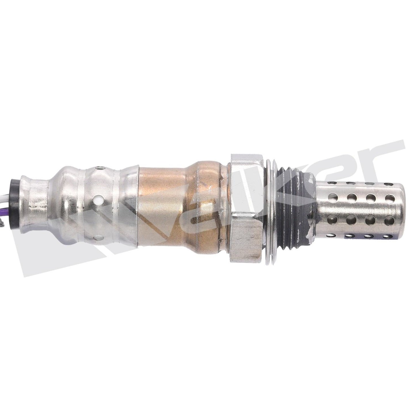 Walker Oxygen Sensor