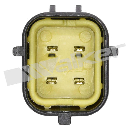 Walker Oxygen Sensor