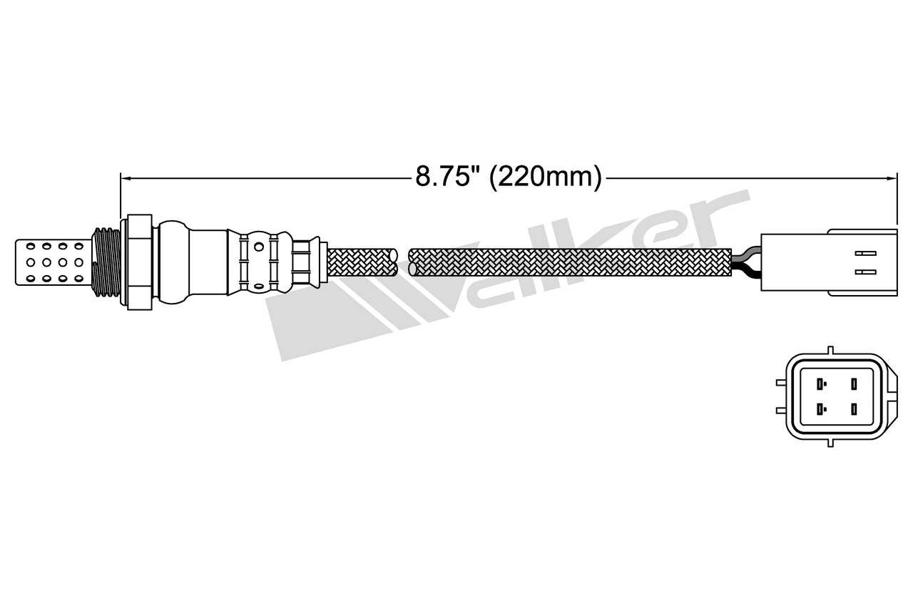 Walker Oxygen Sensor