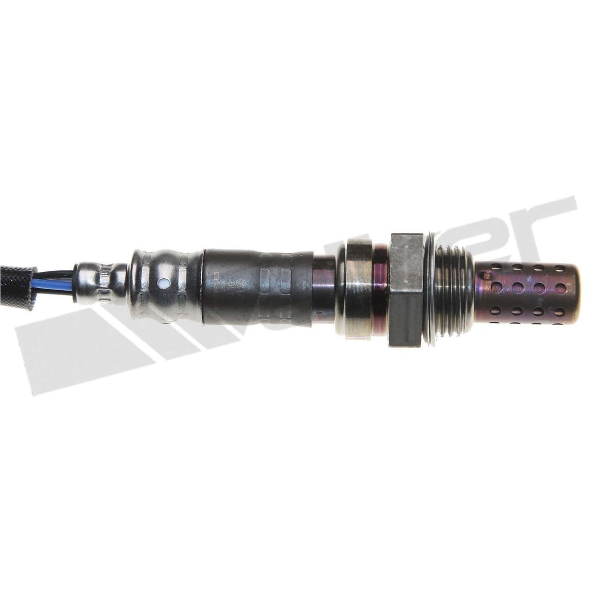 Walker Oxygen Sensor