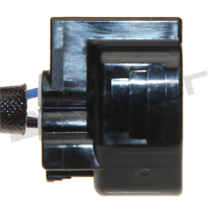 Walker Oxygen Sensor