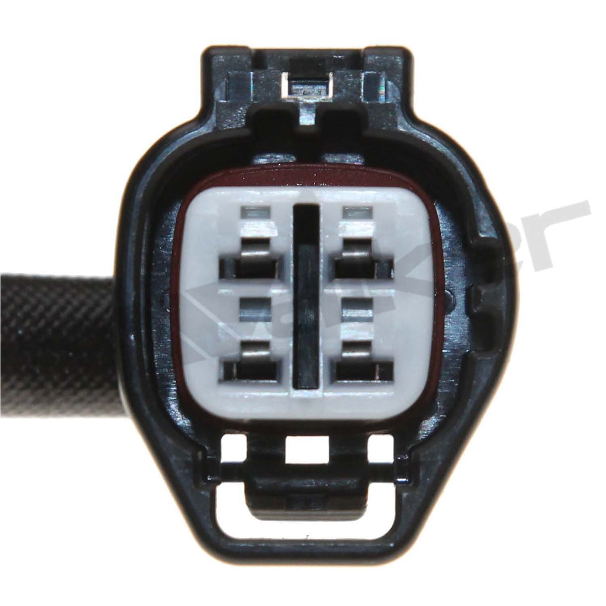 Walker Oxygen Sensor