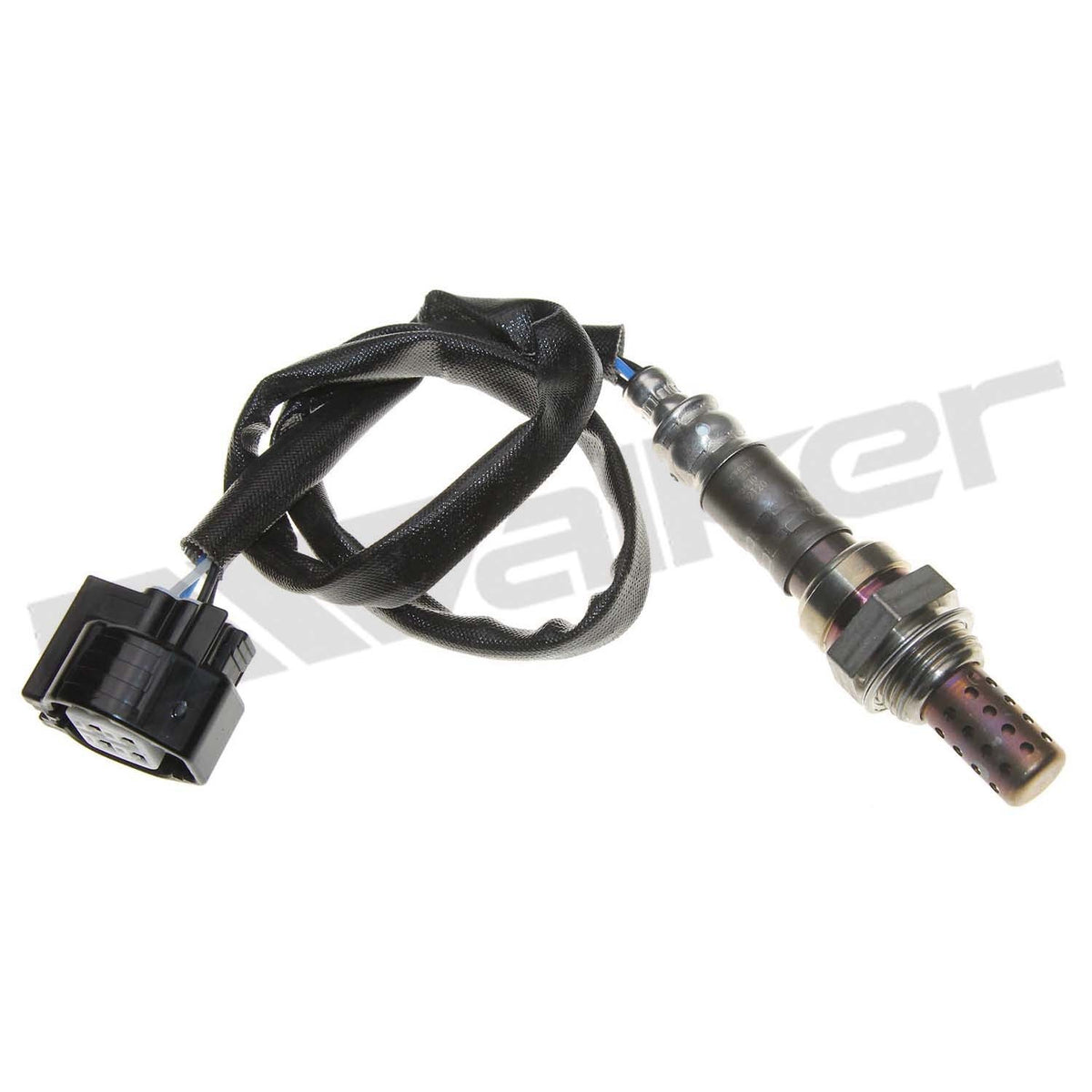 Walker Oxygen Sensor