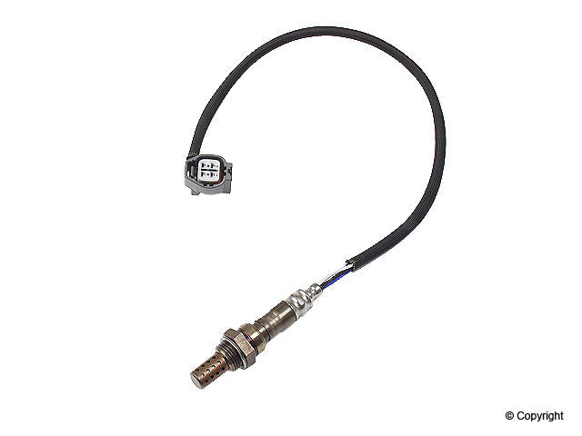 Walker Oxygen Sensor