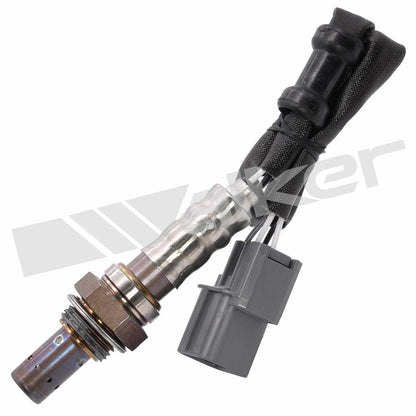 Walker Oxygen Sensor