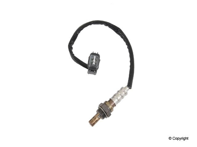 Walker Oxygen Sensor