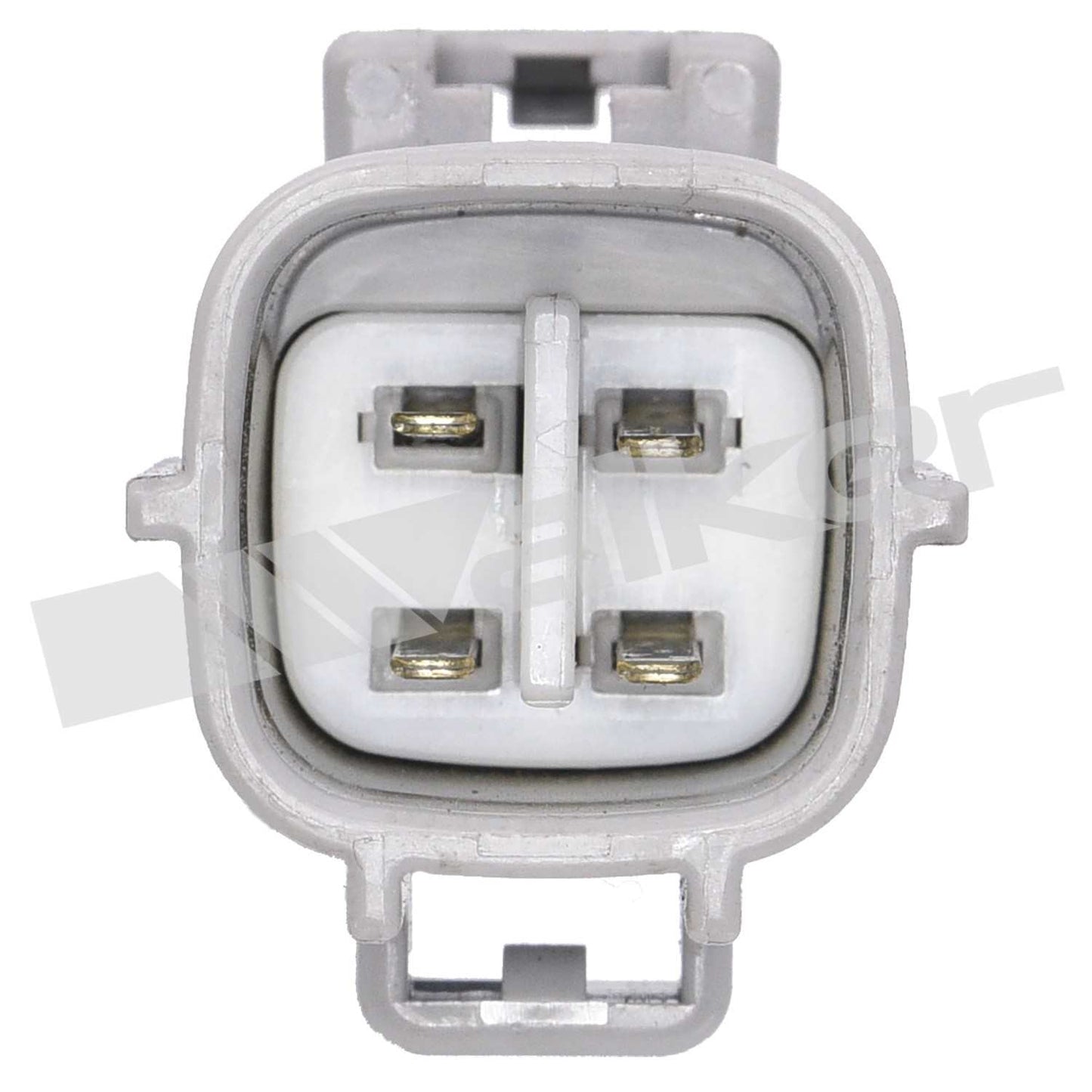 Walker Oxygen Sensor