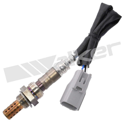 Walker Oxygen Sensor