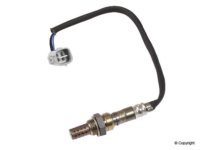 Walker Oxygen Sensor