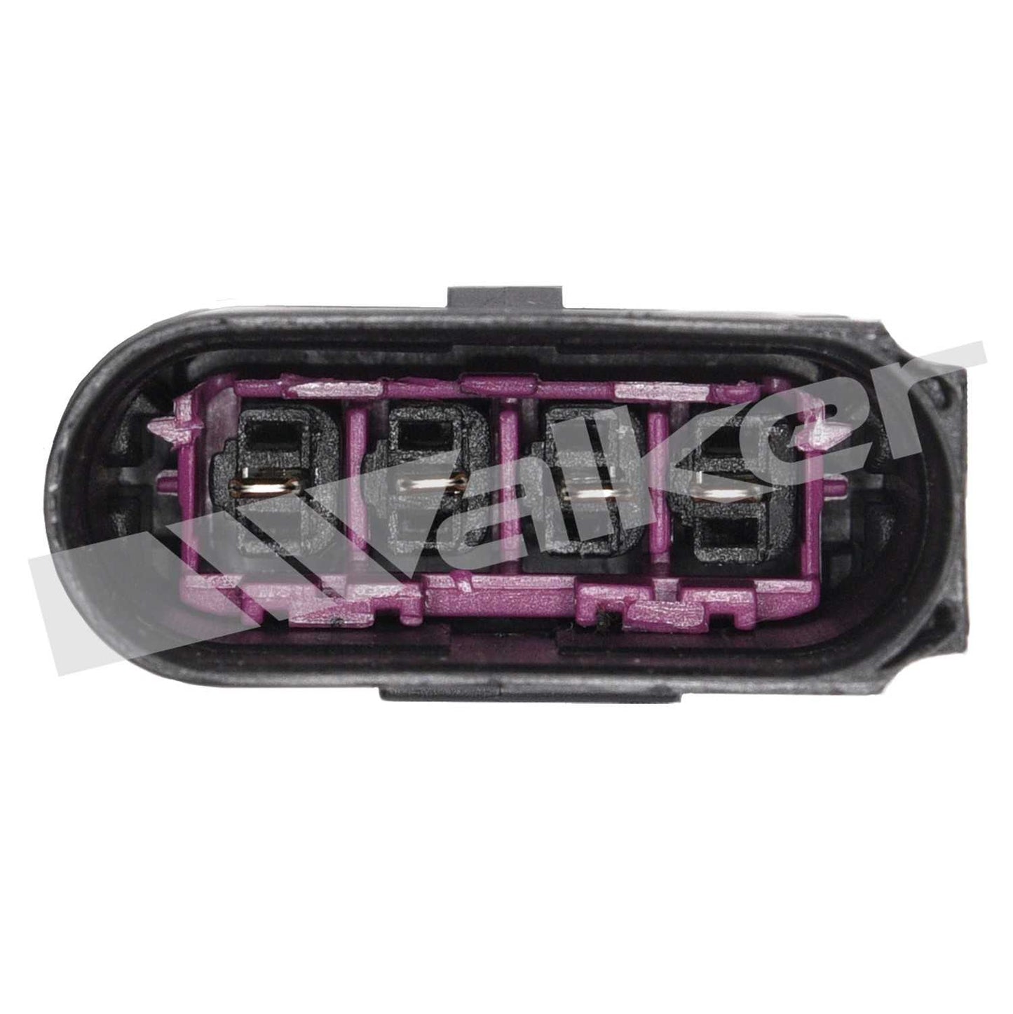 Walker Oxygen Sensor