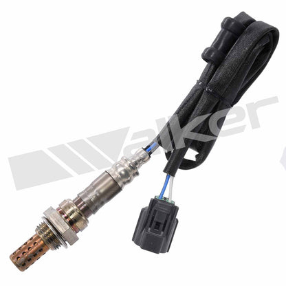Walker Oxygen Sensor