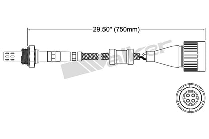 Walker Products Walker Products 250-24613 Oxygen Sensor 4-W Direct Fit 250-24613