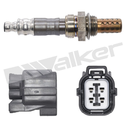 Walker Oxygen Sensor