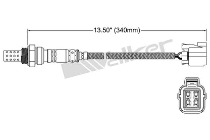 Walker Oxygen Sensor