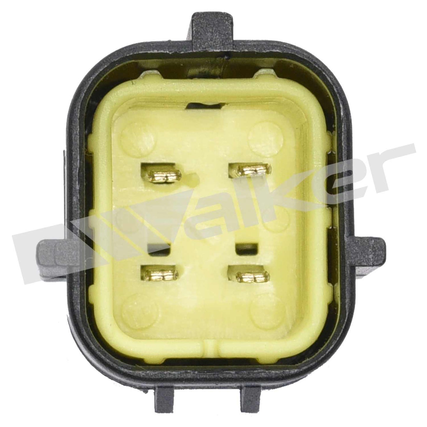 Walker Oxygen Sensor