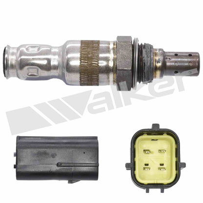 Walker Oxygen Sensor