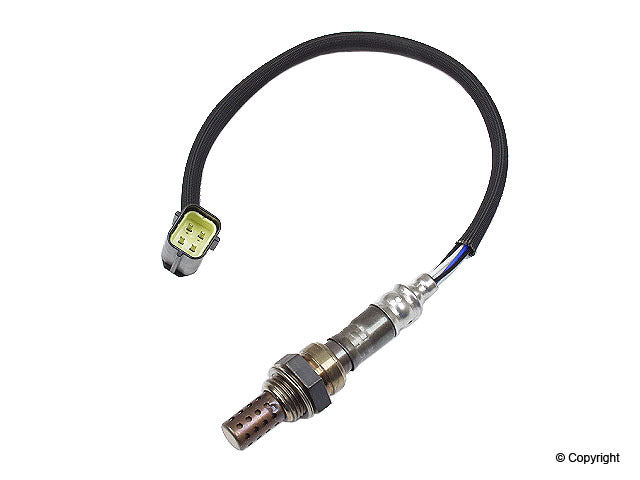 Walker Oxygen Sensor