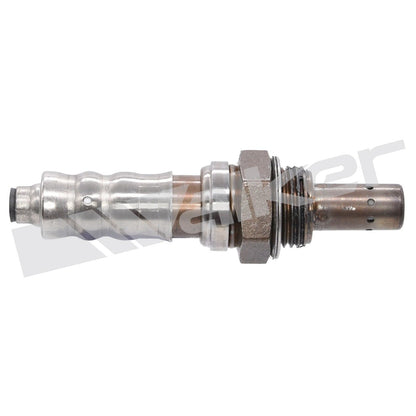Walker Oxygen Sensor