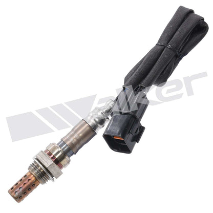 Walker Oxygen Sensor