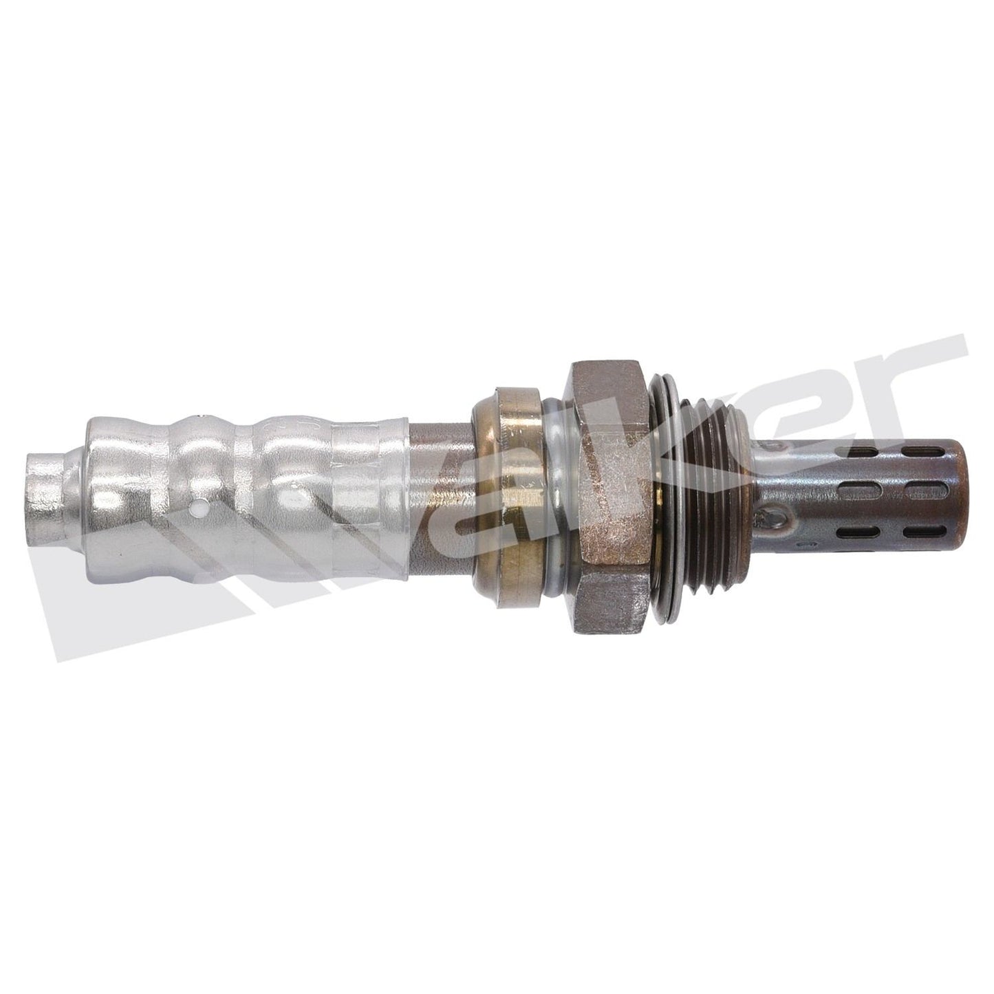 Walker Oxygen Sensor