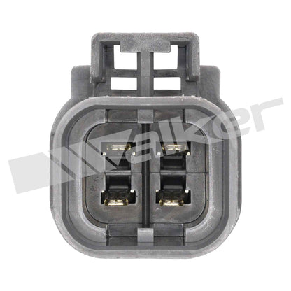 Walker Oxygen Sensor