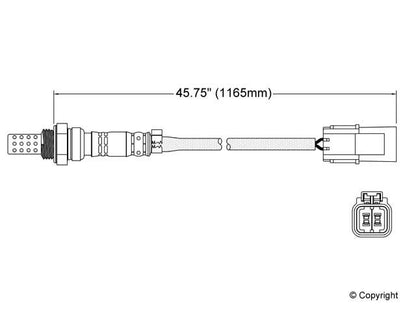 Walker Oxygen Sensor