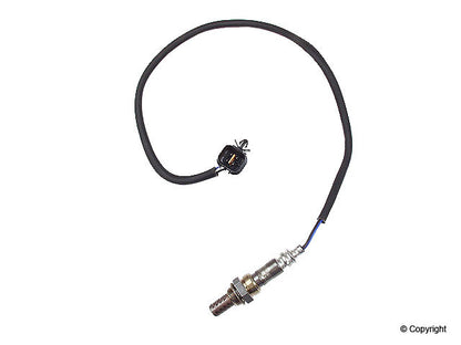Walker Oxygen Sensor