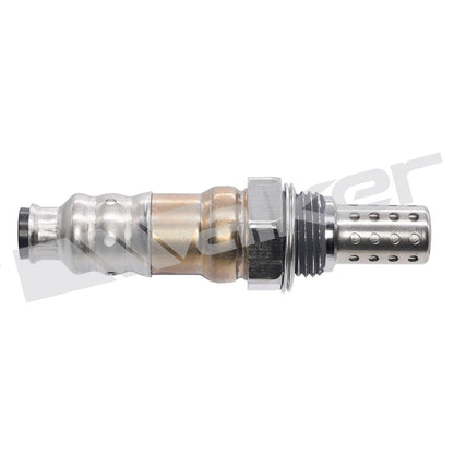 Walker Oxygen Sensor