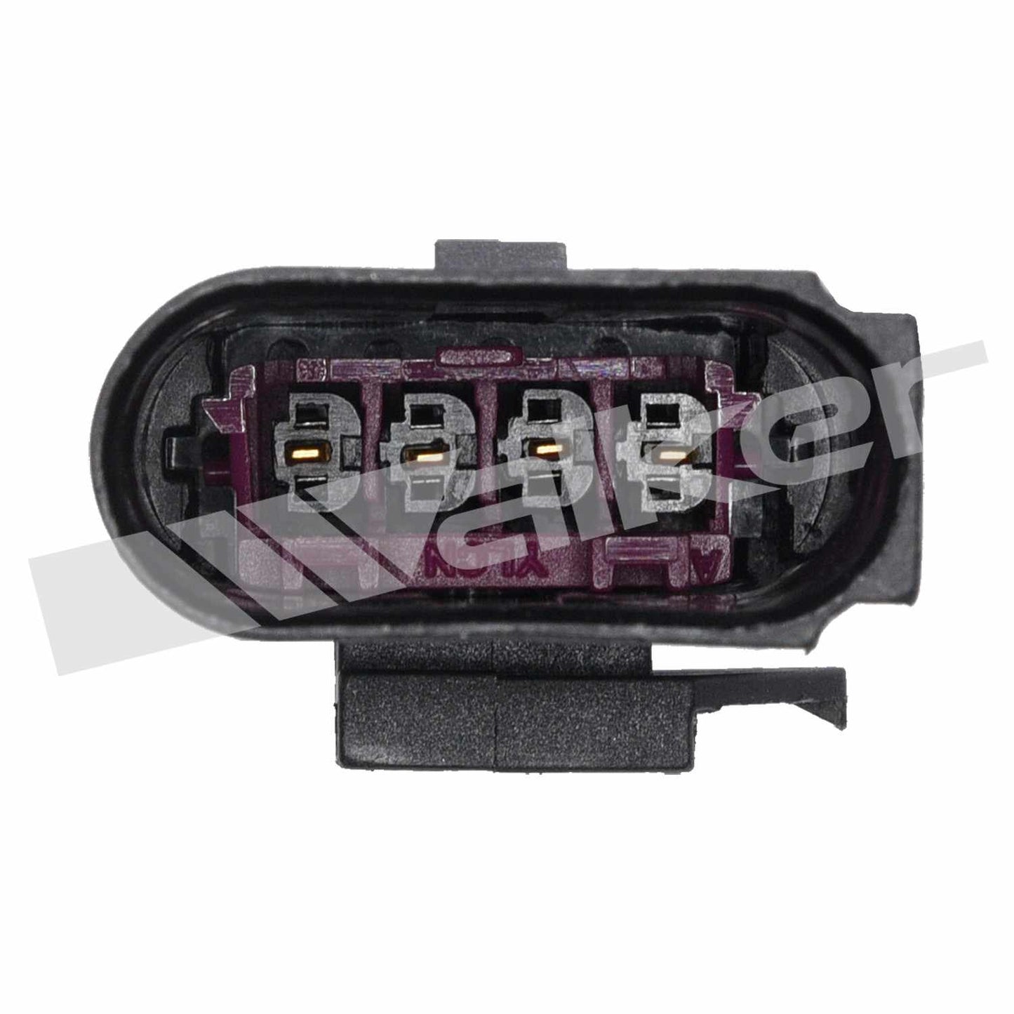 Walker Oxygen Sensor