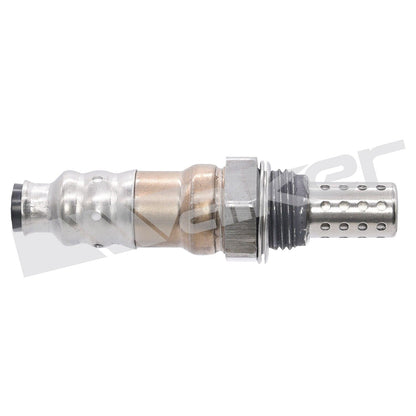 Walker Oxygen Sensor