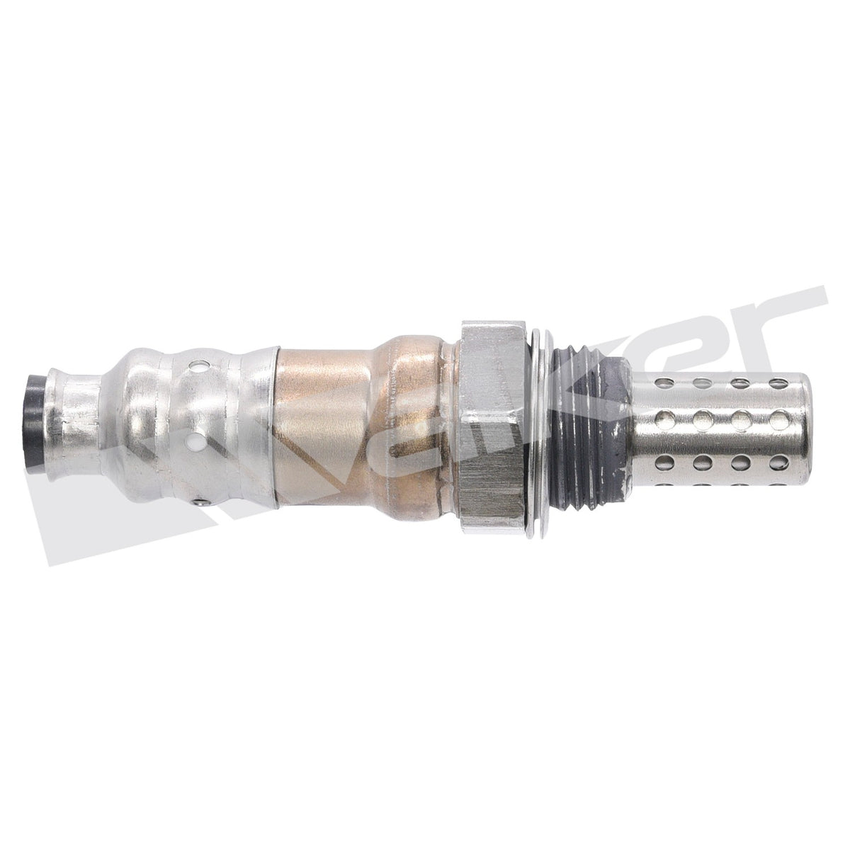 Walker Oxygen Sensor