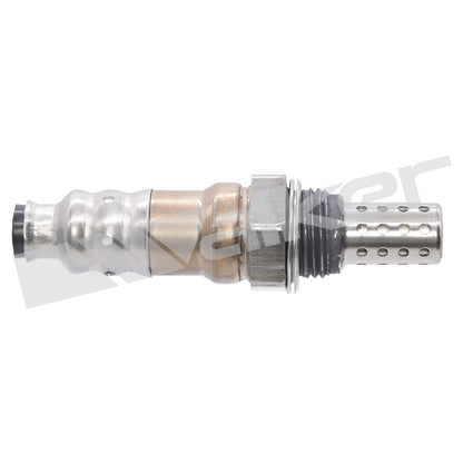 Walker Oxygen Sensor