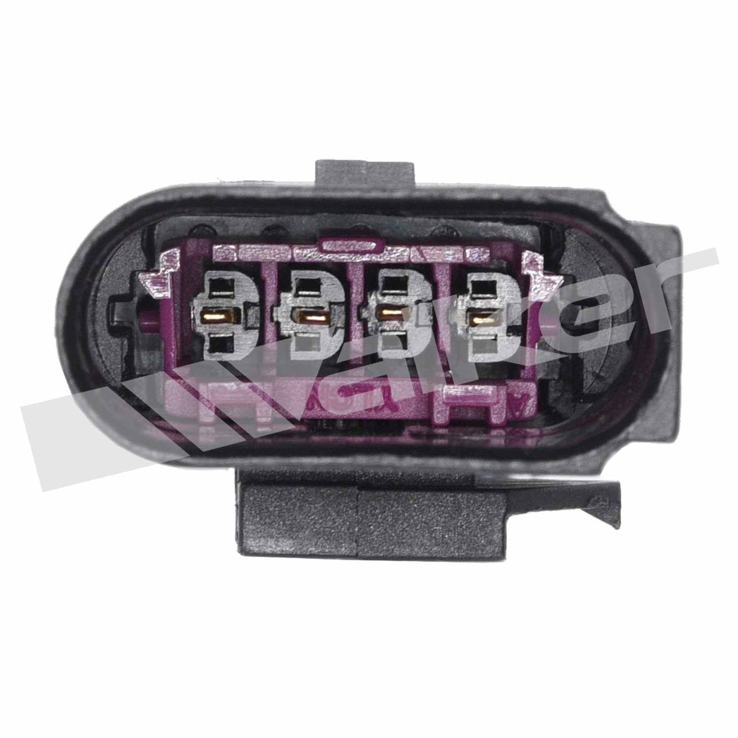 Walker Oxygen Sensor