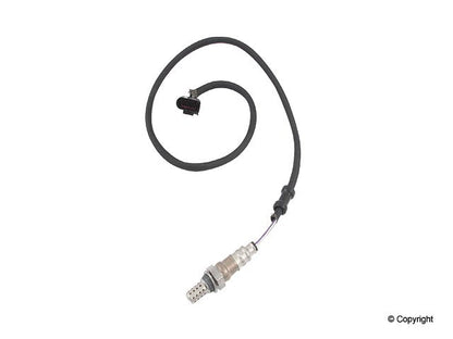 Walker Oxygen Sensor