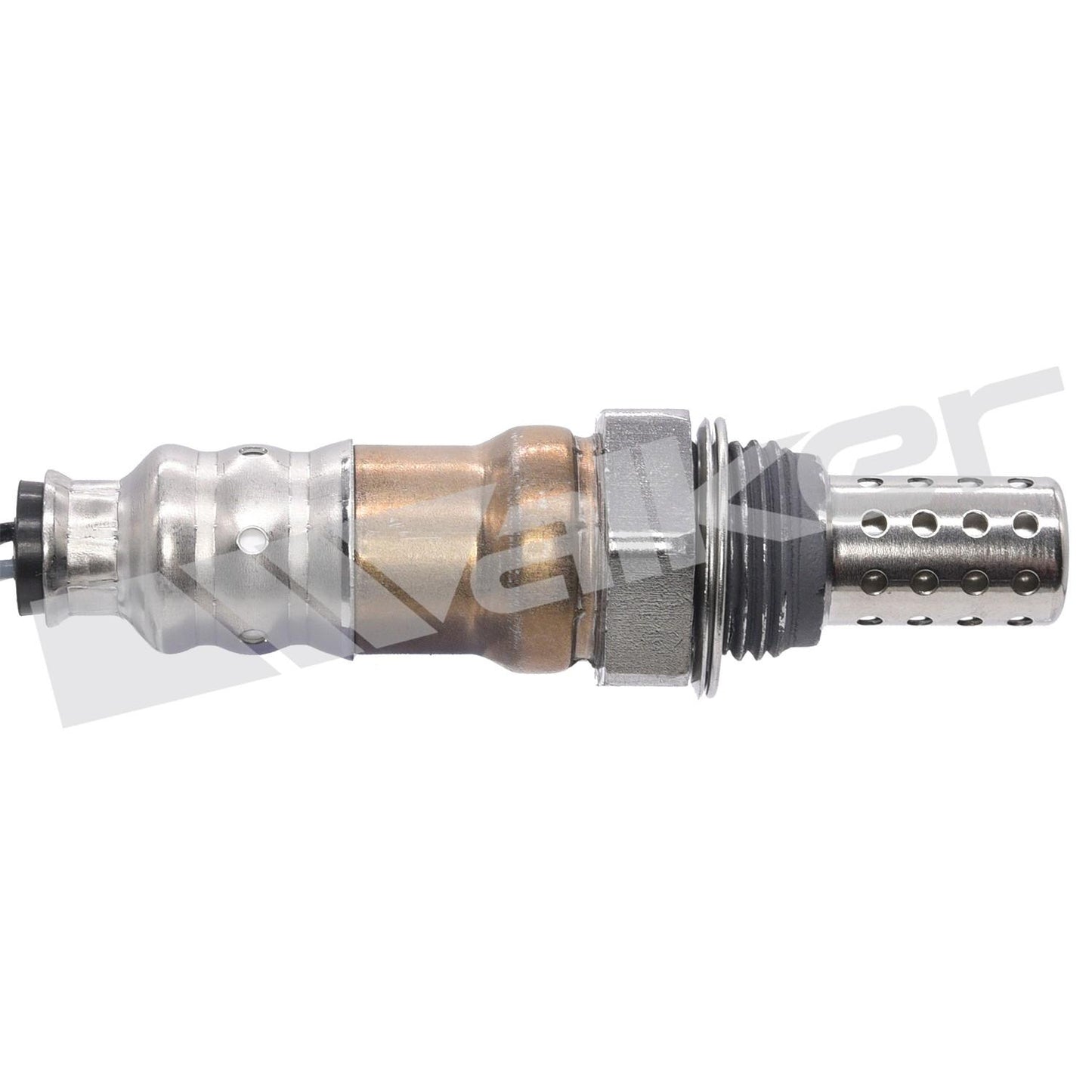 Walker Oxygen Sensor