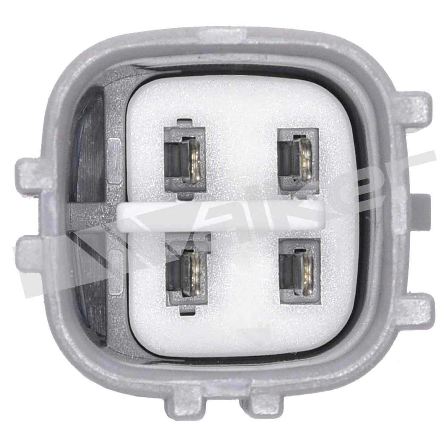 Walker Oxygen Sensor
