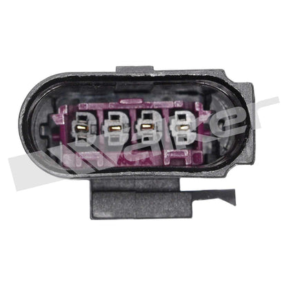 Walker Oxygen Sensor