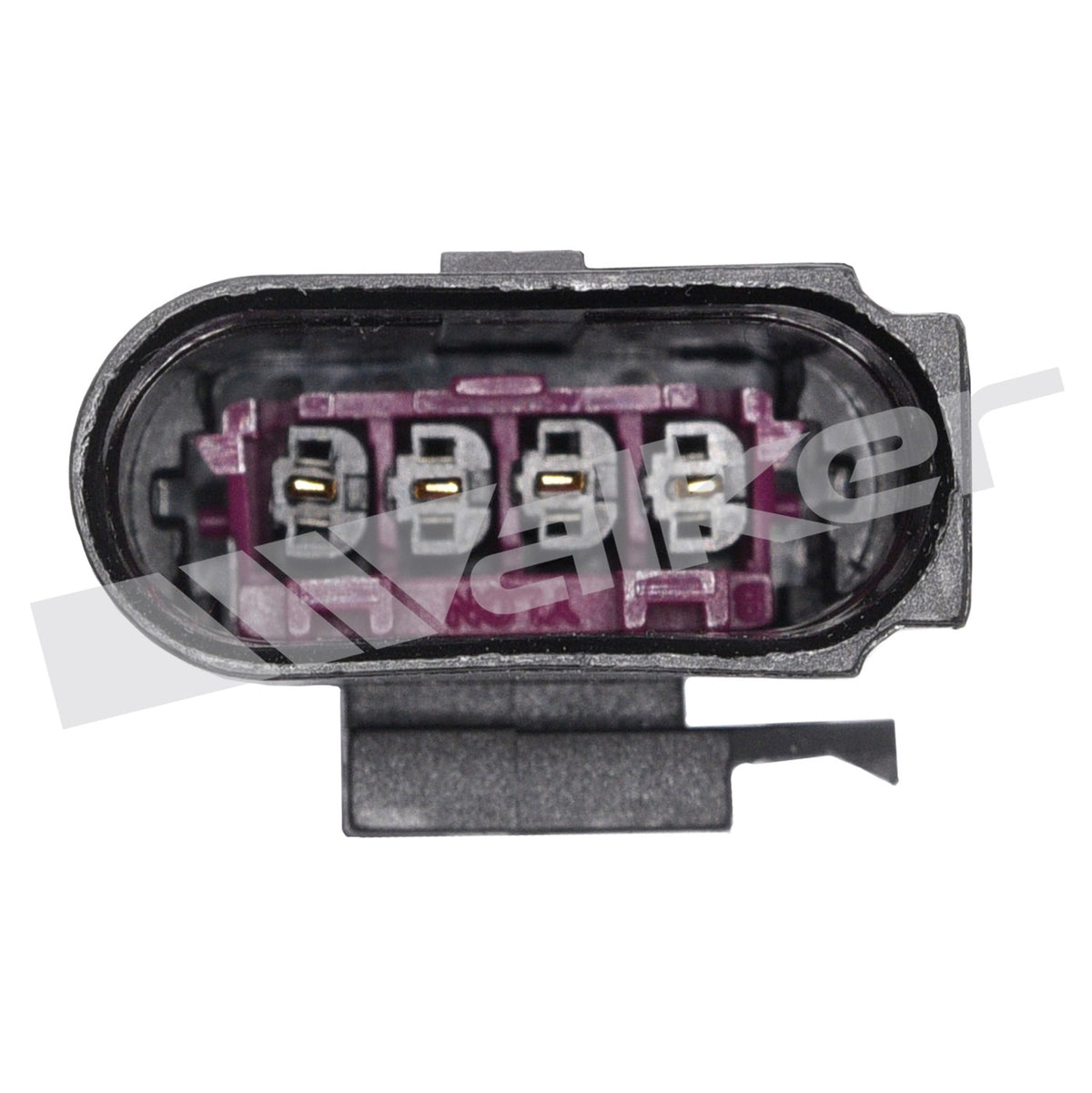 Walker Oxygen Sensor