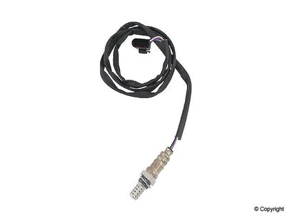 Walker Oxygen Sensor