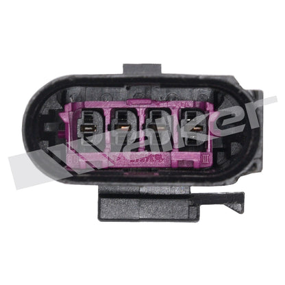 Walker Oxygen Sensor
